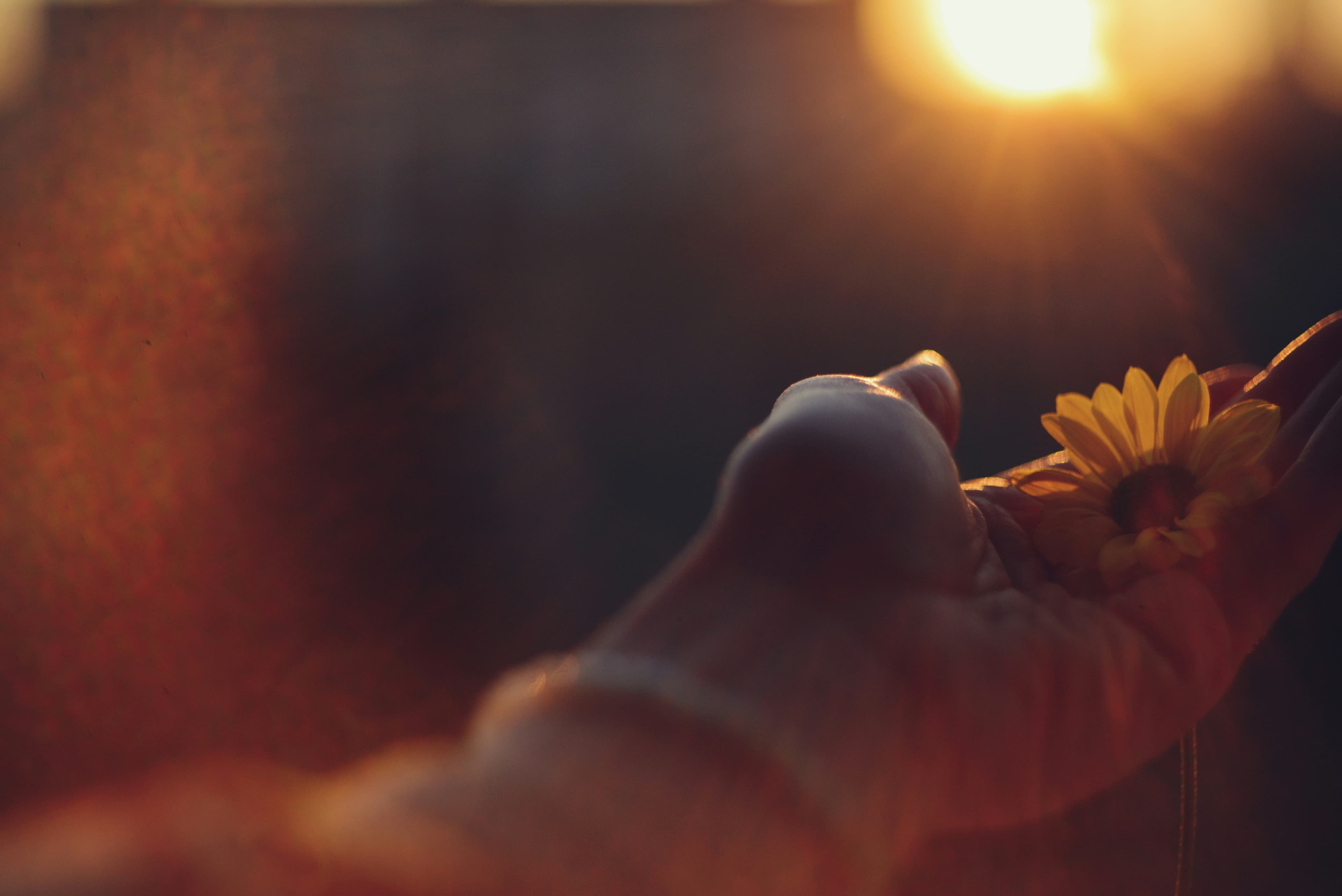 foto antigua sépia de una mujer joven mirando hacia adelante, con flores silvestres en primer plano
